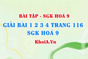Bài tập về Metan CH4: Giải bài 1, 2, 3, 4 trang 116 SGK Hoá 9